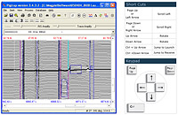 Screenshot of keystroke Flash activity