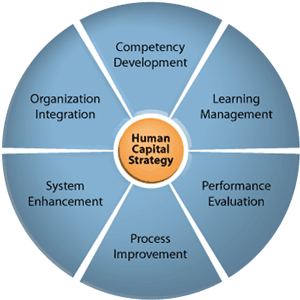 [Human Capital Strategy diagram]